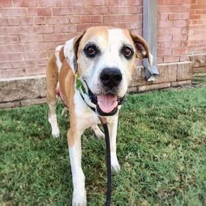 Meet your Posher, Janet